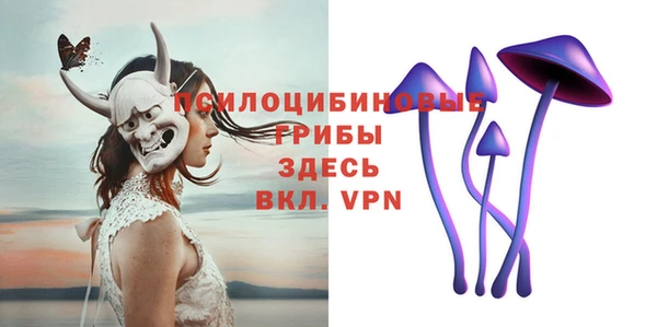 прущие грибы Пестово